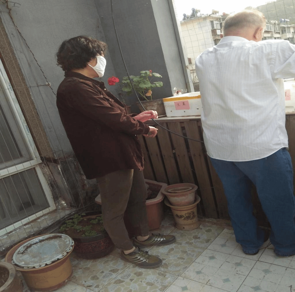 图片8.png 图片8.png