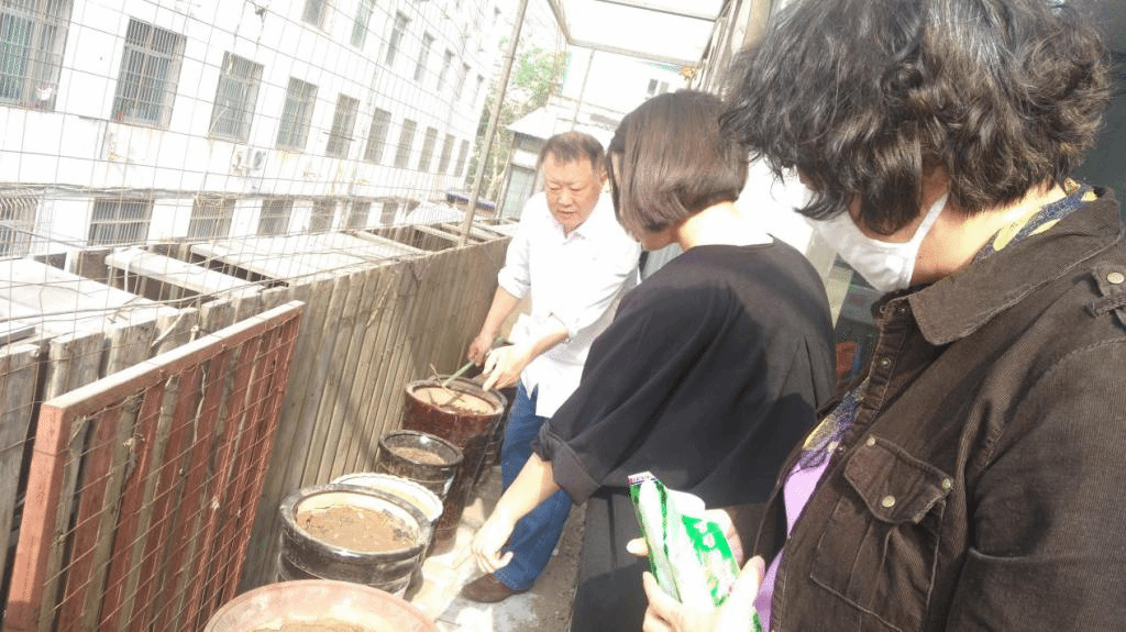 图片9.png 图片9.png