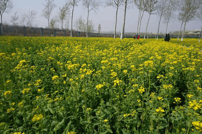 图片6.png 图片6.png